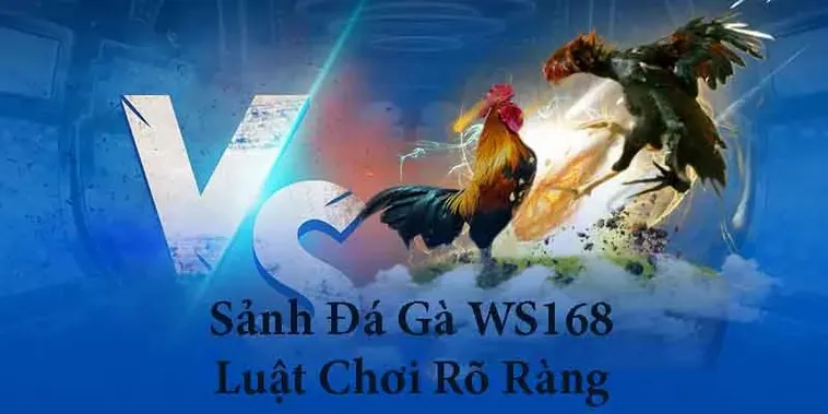 Bật Mí Cách Chơi Đá Gà WS168 Tại 1xBit Luôn Thắng Từ Cao Thủ