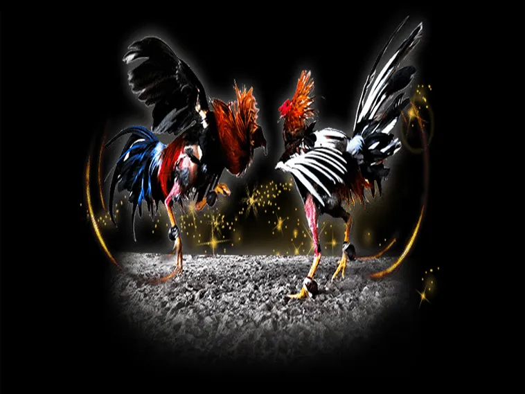 Bí Thuật Chơi Đá Gà Sabong Tại 1xBit Giành Thắng Lợi Tuyệt Đối