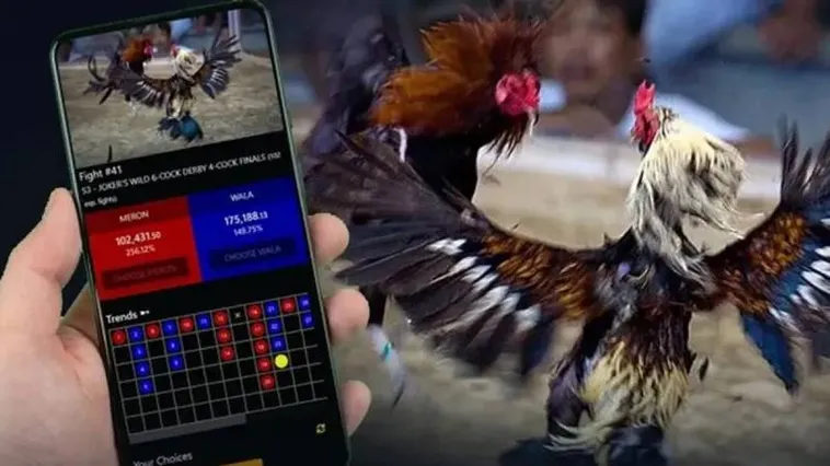 Trực Tiếp Đá Gà 1xBit Cựa Sắt Thomo Nảy Lửa Cùng Kê Thủ